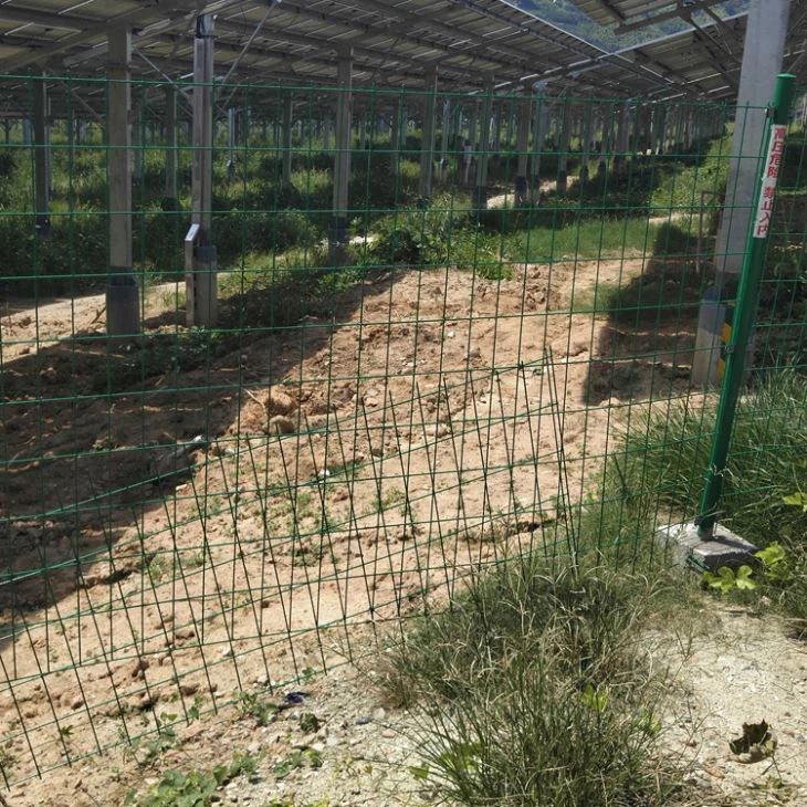 Wire Fence With Triangle Bends Wire Fence With Triangle Bends